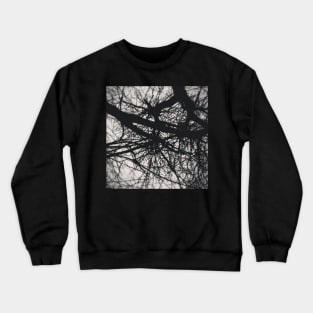 Fracture Crewneck Sweatshirt